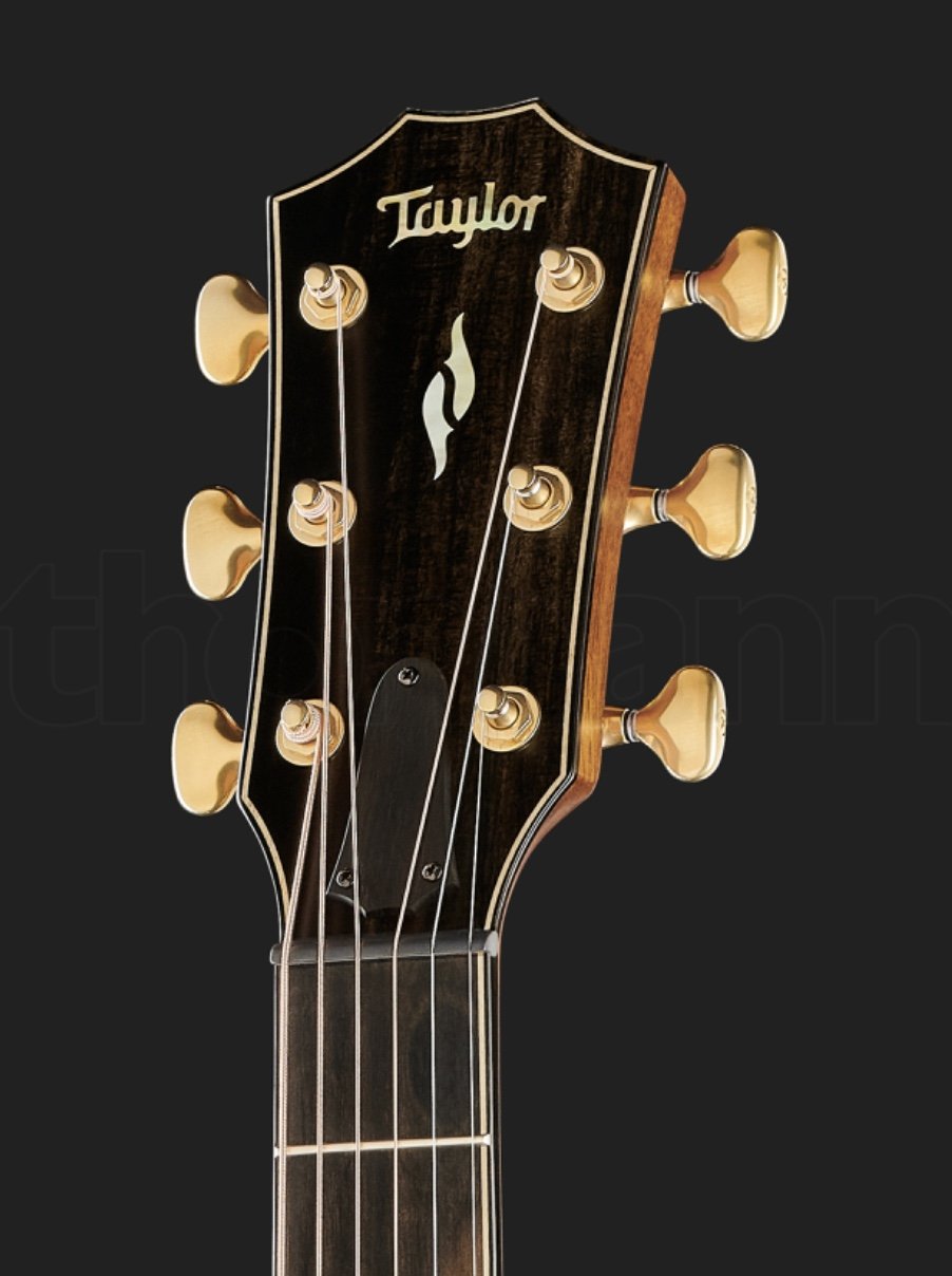 Taylor 814ce Builder’s Ed LTD 50th