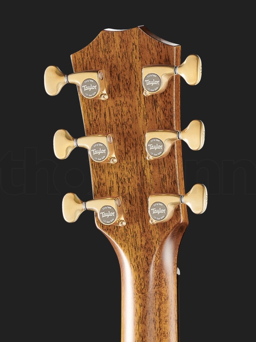 Taylor 814ce Builder’s Ed LTD 50th