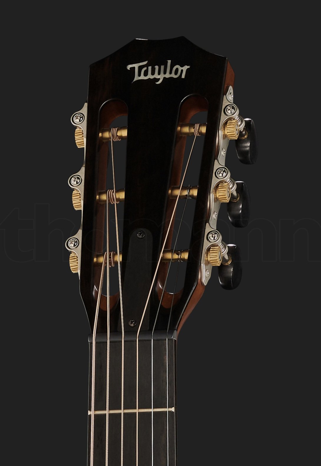 Taylor 512ce 12-Fret Urban Ironbark