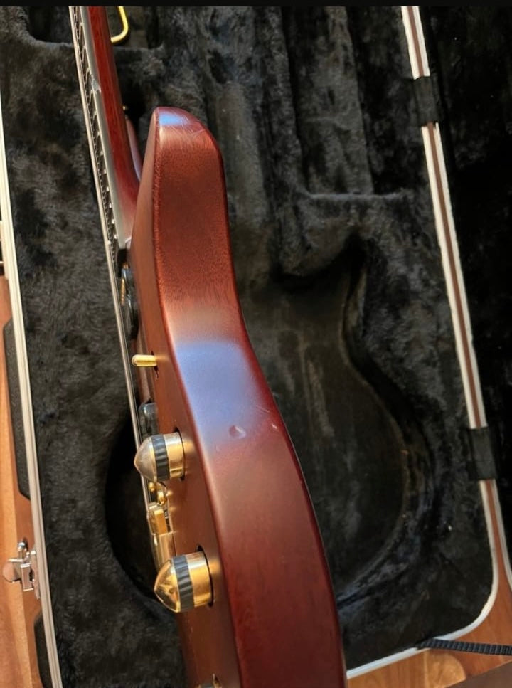 Music Man Artisan Majesty Marrone (Pre-owned)