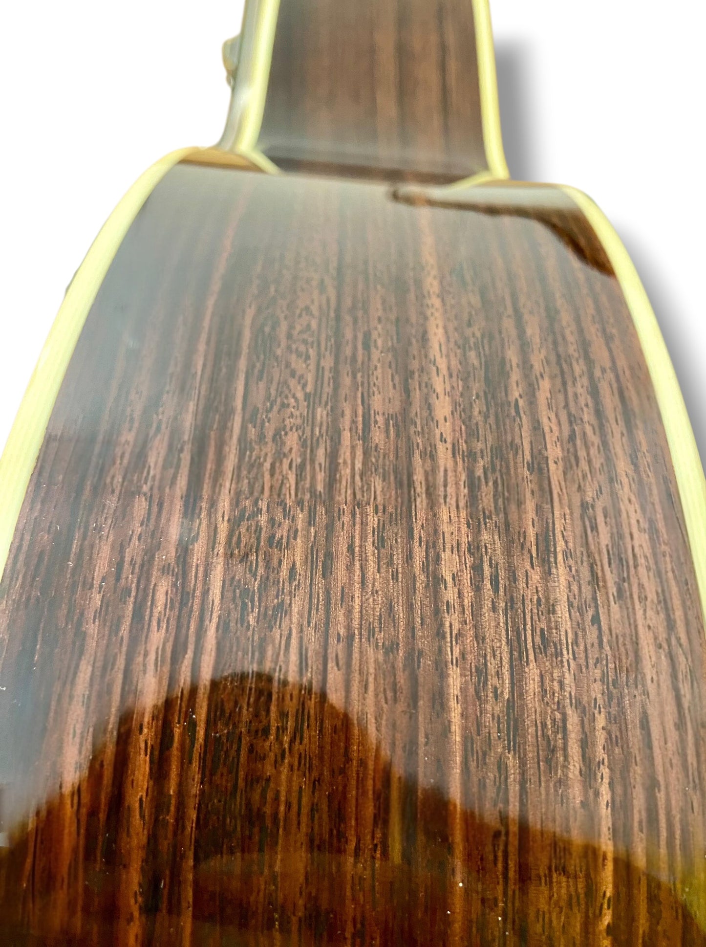 Santa Cruz OM  German Spruce Bearclaw  2018