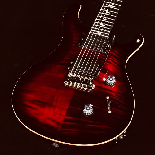 PRS Custom 24 Wood Library "Angry Larry" (Pre-Owned)