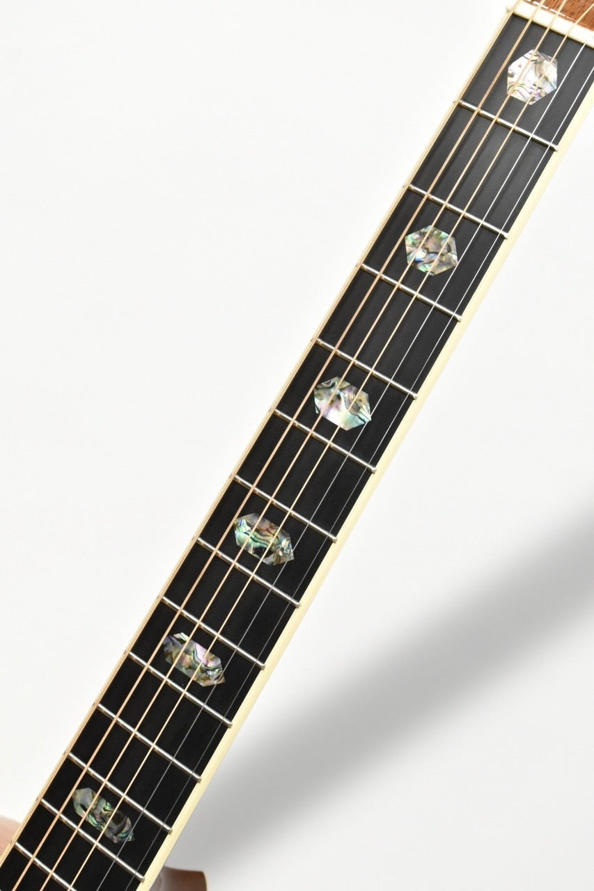 Martin D-45 Custom Shop Adirondack Guatemalan Rosewood 2023