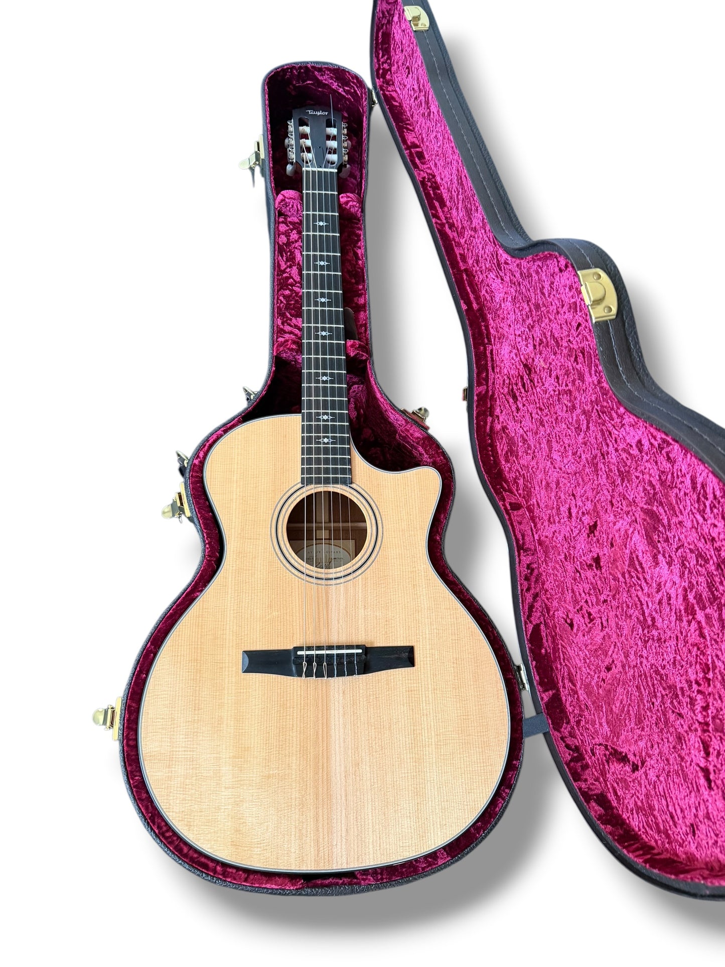 Taylor 314CE-N Grand Auditorium 2021