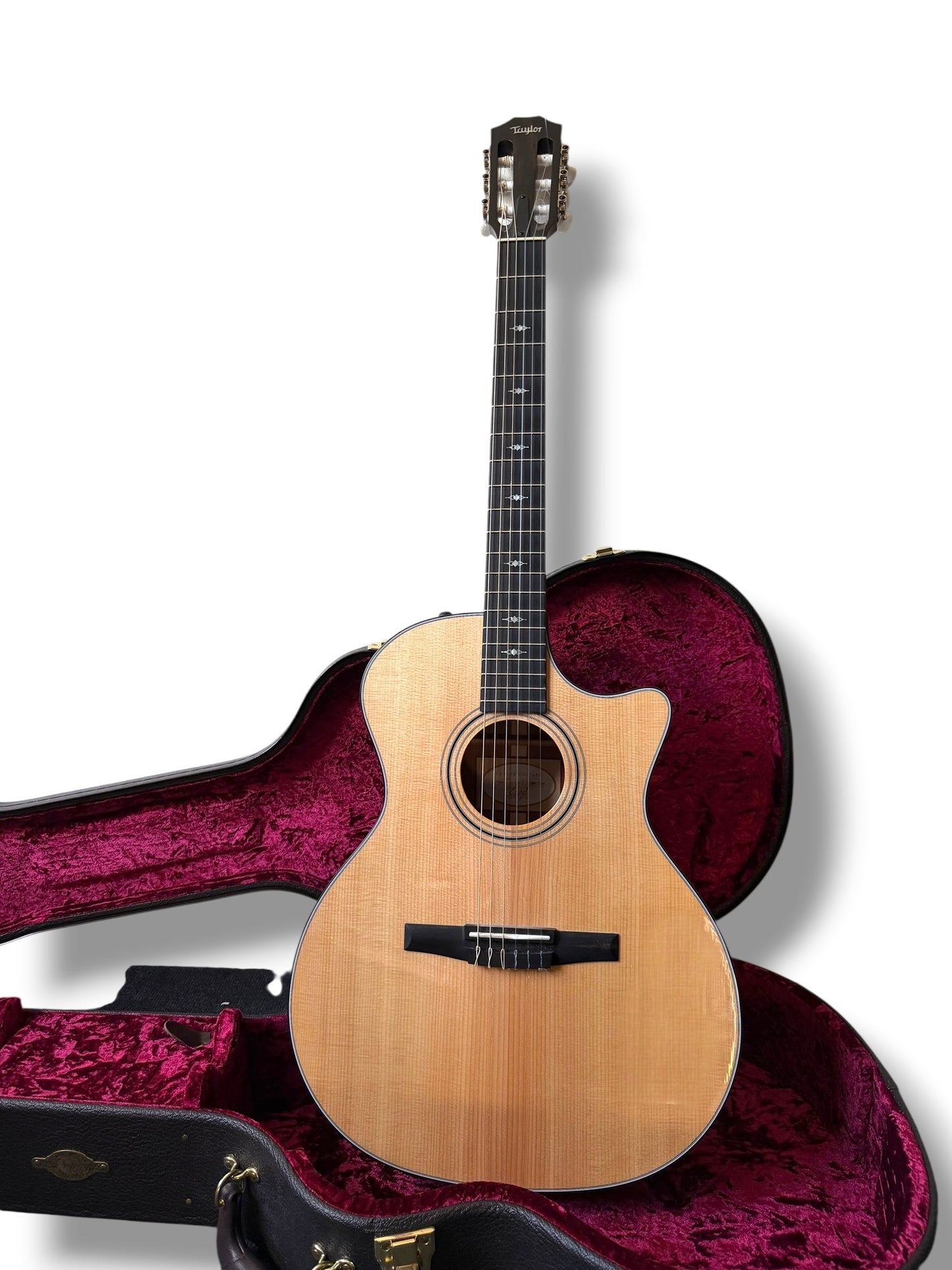 Taylor 314CE-N Grand Auditorium 2021