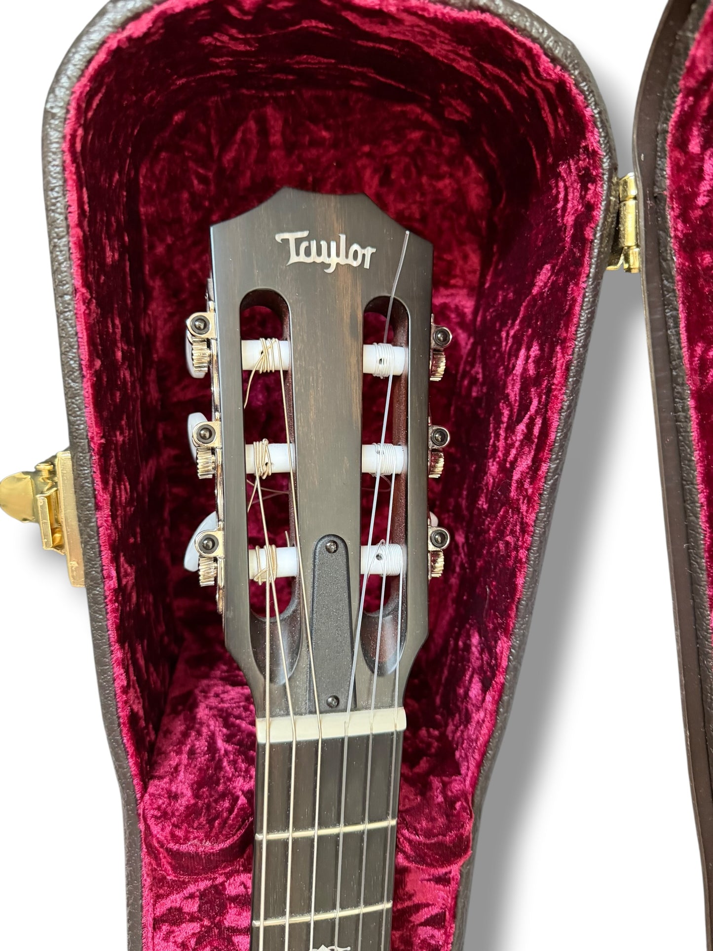 Taylor 314CE-N Grand Auditorium 2021
