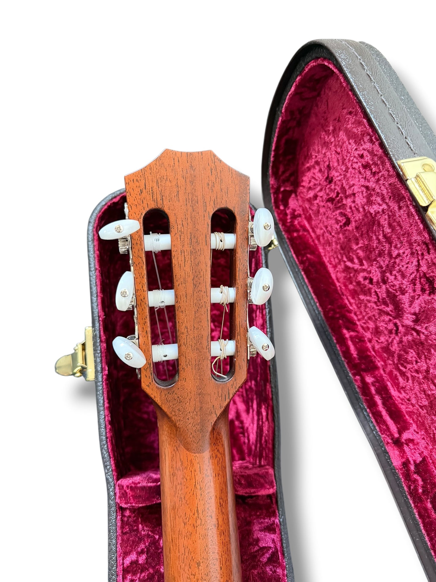 Taylor 314CE-N Grand Auditorium 2021