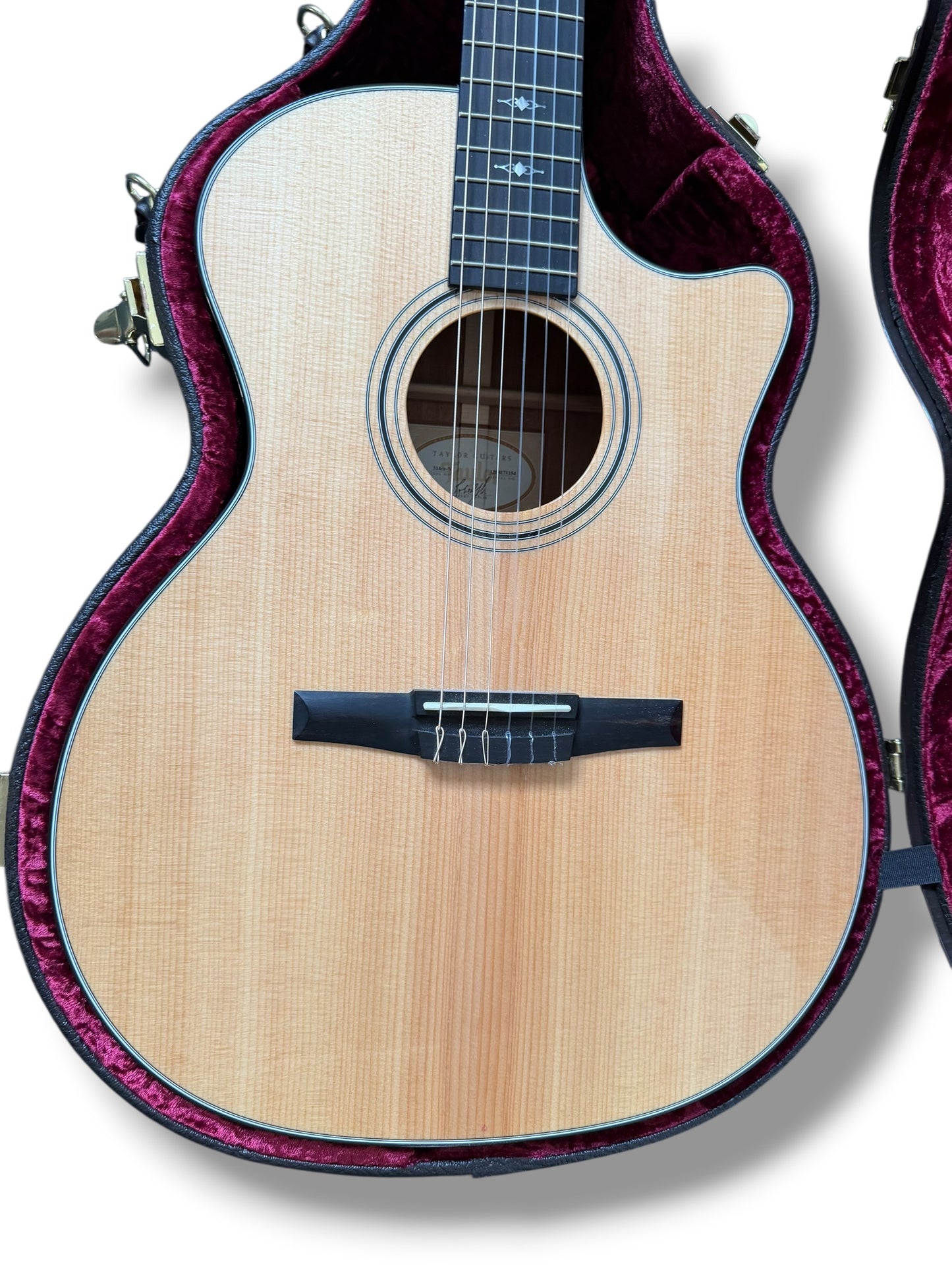 Taylor 314CE-N Grand Auditorium 2021