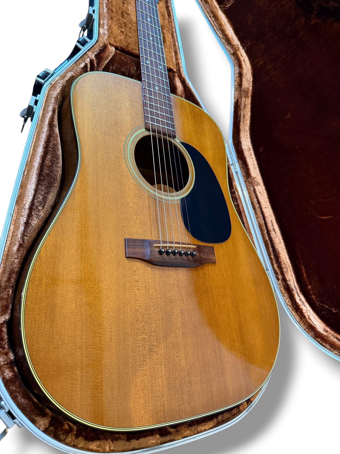 Martin D-19 Vintage 1980