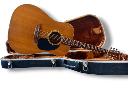 Martin D-19 Vintage 1980