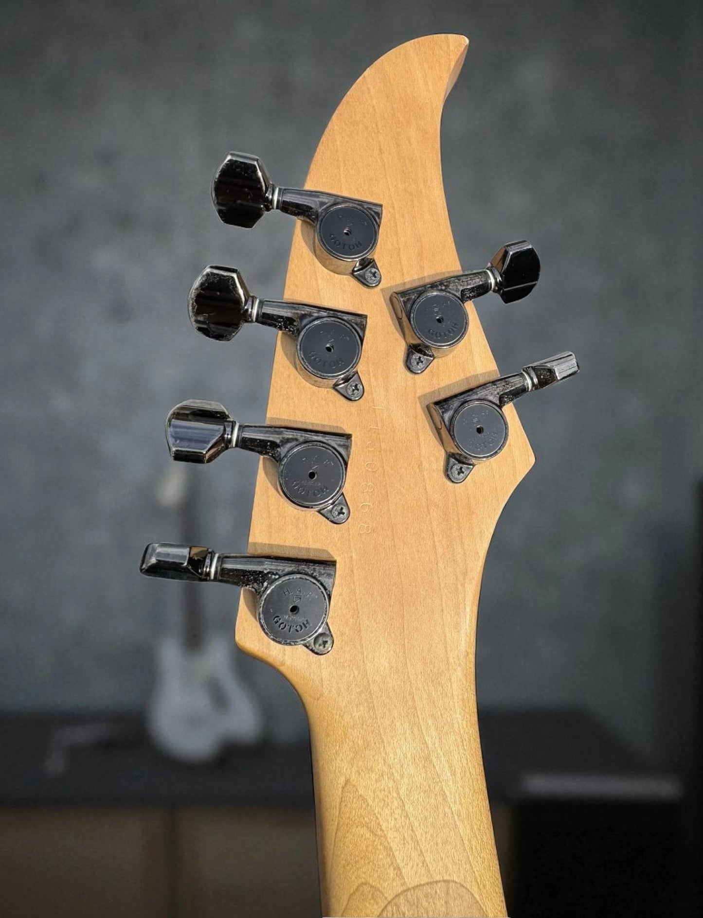 Caparison Horus Thundercloud (Pre-owned)